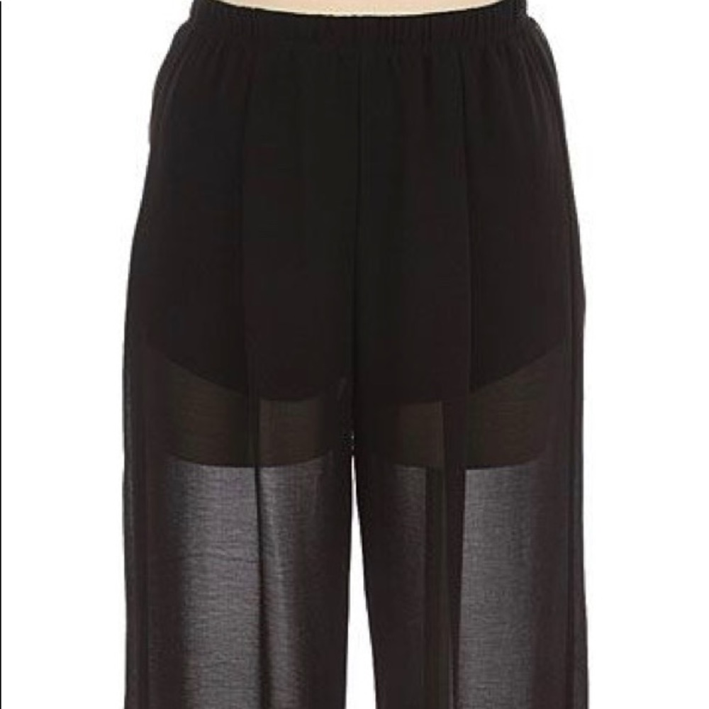Pins and Needles Sheer pants